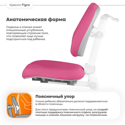 05. Анатомическая форма